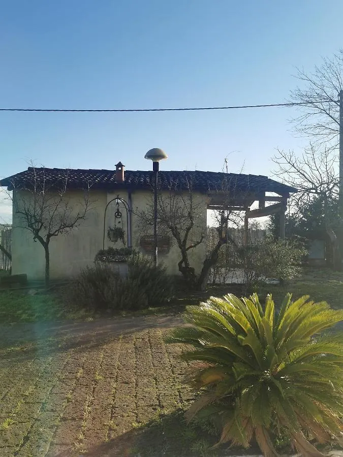 Bed and Breakfast Fondo Marsiglia 110 Lido di Spina 0*,